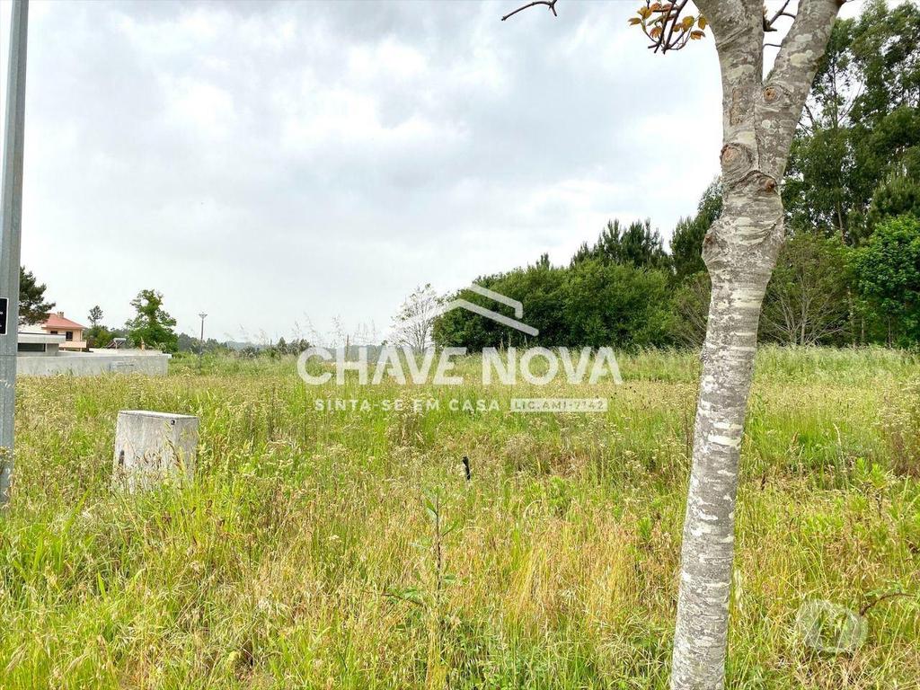 Terrenos Santa Maria da Feira - Fotos para Lote Terreno p Moradia em Banda - São Miguel de Souto (SMF 02119)