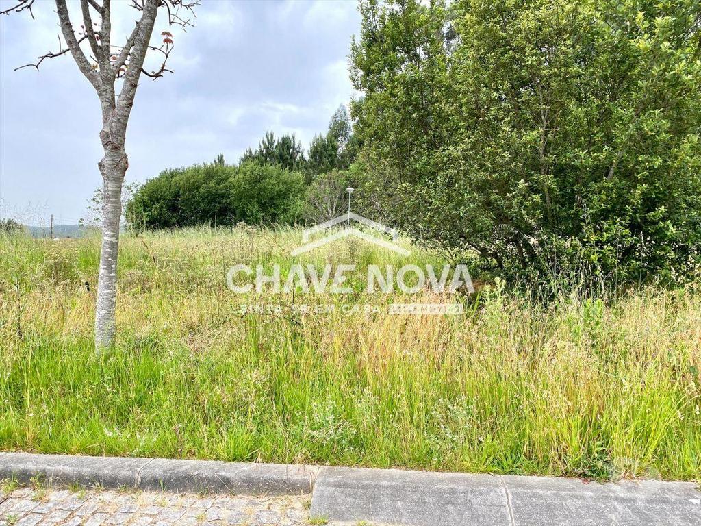 Terrenos Santa Maria da Feira - Fotos para Lote Terreno p Moradia em Banda - São Miguel de Souto (SMF 02119)