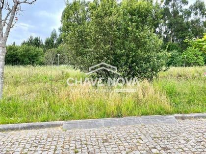 Terrenos - Fotos para Lote Terreno p Moradia em Banda - São Miguel de Souto (SMF 02119)