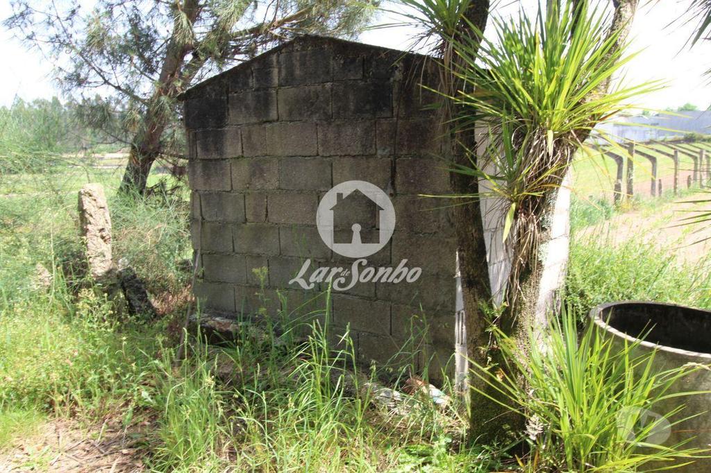 Terrenos Barcelos - Fotos para Barcelos-Terreno Agrícola (265-T-00931)