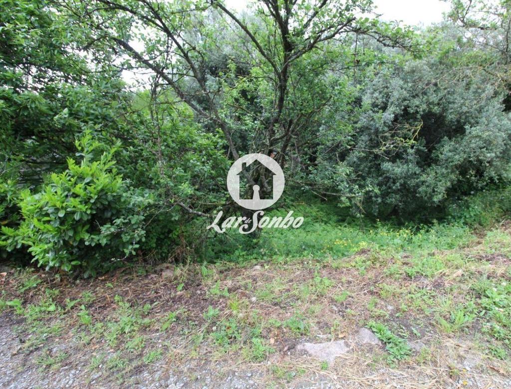 Terrenos Barcelos - Fotos para Barcelos-Terreno para construção em Barcelos (265-T-00951)