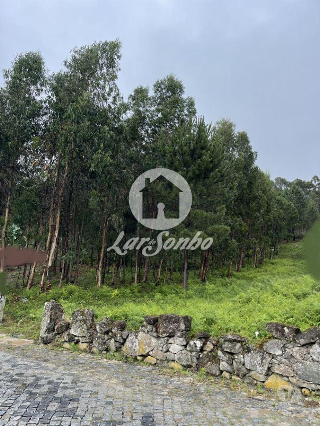 Terrenos Barcelos - Fotos para Barcelos-Terreno para construção em Barcelos (265-T-00951)