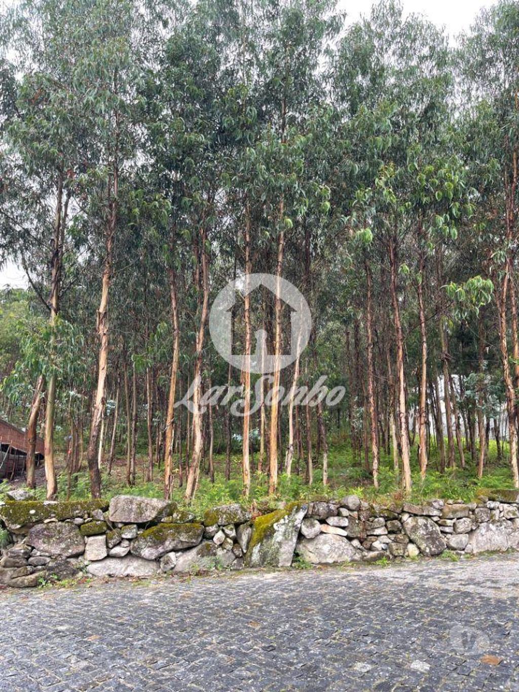 Terrenos Barcelos - Fotos para Barcelos-Terreno para construção em Barcelos (265-T-00951)