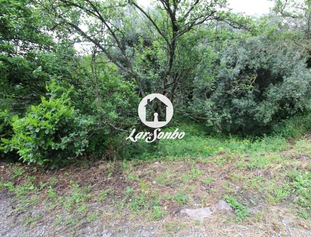 Terrenos Barcelos - Fotos para Barcelos-Terreno para construção em Barcelos (265-T-00951)