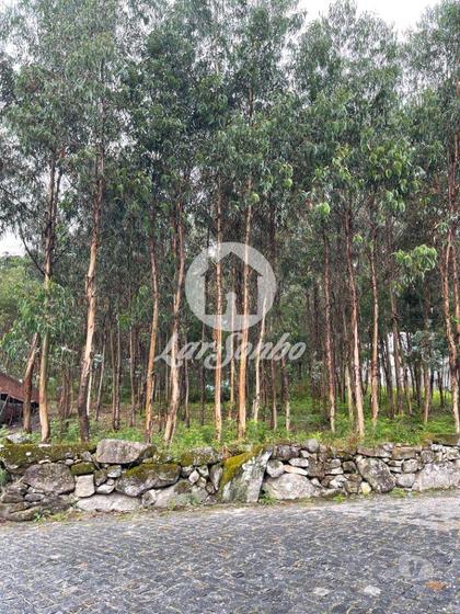 Terrenos - Fotos para Barcelos-Terreno para construção em Barcelos (265-T-00951)