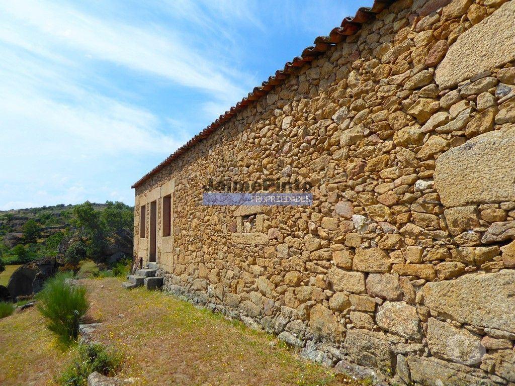 Terrenos Figueira de Castelo Rodrigo - Fotos para 26ha agrícolas, Olival, Ruínas próximo Rio Douro. Portugal, F.