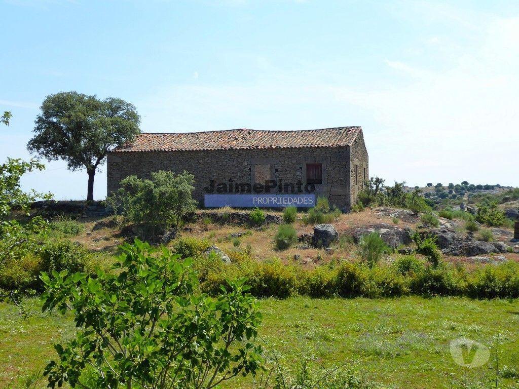 Terrenos Figueira de Castelo Rodrigo - Fotos para 26ha agrícolas, Olival, Ruínas próximo Rio Douro. Portugal, F.