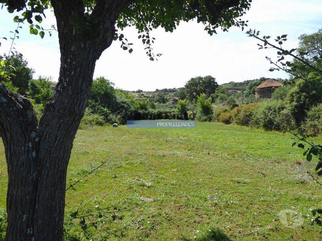Terrenos Figueira de Castelo Rodrigo - Fotos para 26ha agrícolas, Olival, Ruínas próximo Rio Douro. Portugal, F.