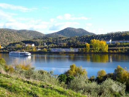 Terrenos - Fotos para 26ha agrícolas, Olival, Ruínas próximo Rio Douro. Portugal, F.