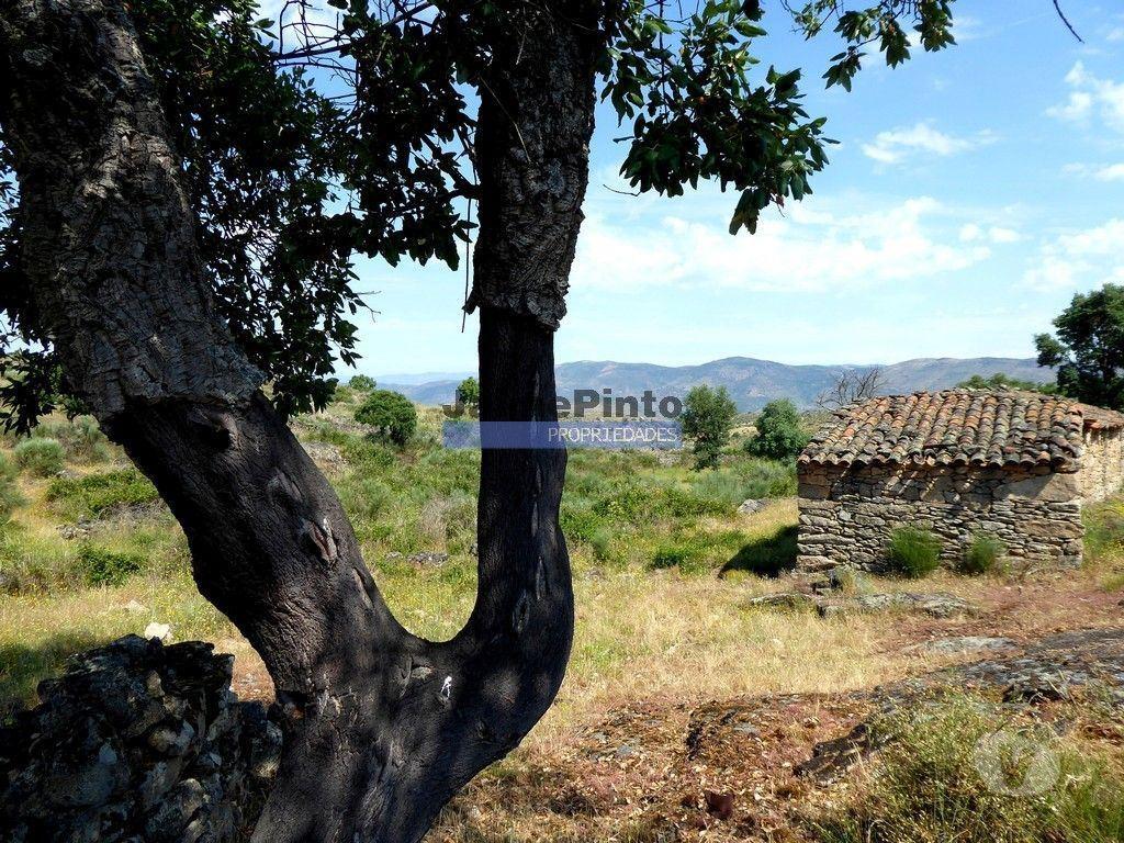 Terrenos Figueira de Castelo Rodrigo - Fotos para 250 000 m2 agrícolas e casas em ruínas. Portugal, F. C. Rodrigo