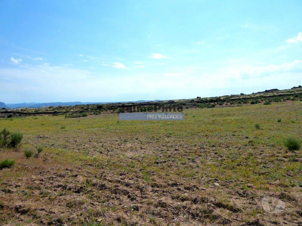 Terrenos Figueira de Castelo Rodrigo - Fotos para 250 000 m2 agrícolas e casas em ruínas. Portugal, F. C. Rodrigo