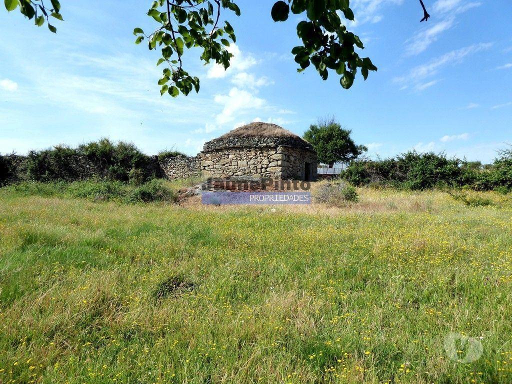 Terrenos Figueira de Castelo Rodrigo - Fotos para 250 000 m2 agrícolas e casas em ruínas. Portugal, F. C. Rodrigo