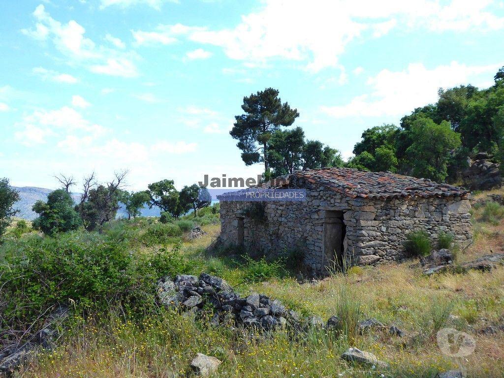 Terrenos Figueira de Castelo Rodrigo - Fotos para 250 000 m2 agrícolas e casas em ruínas. Portugal, F. C. Rodrigo