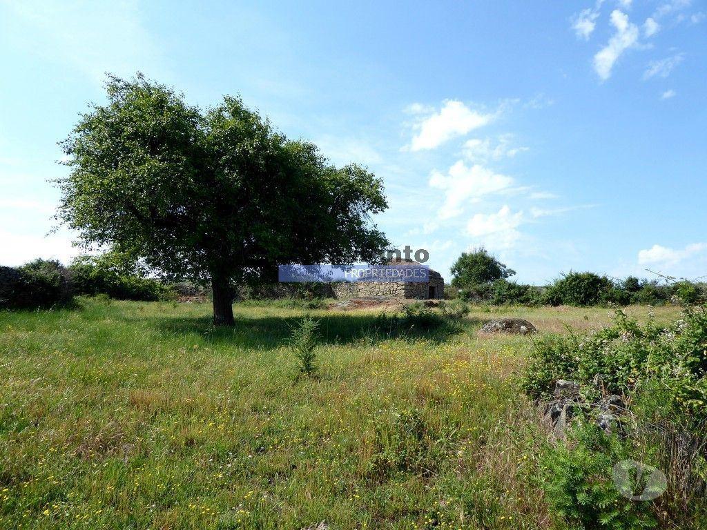 Terrenos Figueira de Castelo Rodrigo - Fotos para 250 000 m2 agrícolas e casas em ruínas. Portugal, F. C. Rodrigo