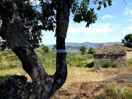 Terrenos a venda - Fotos para 250 000 m2 agrícolas e casas em ruínas. Portugal, F. C. Rodrigo
