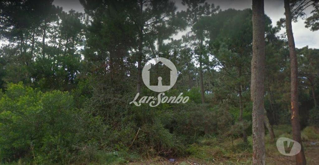 Terrenos Esposende - Fotos para Esposende-Terreno em Esposende (265-T-00959)