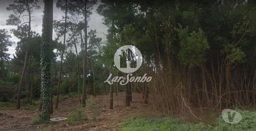Terrenos Esposende - Fotos para Esposende-Terreno em Esposende (265-T-00959)