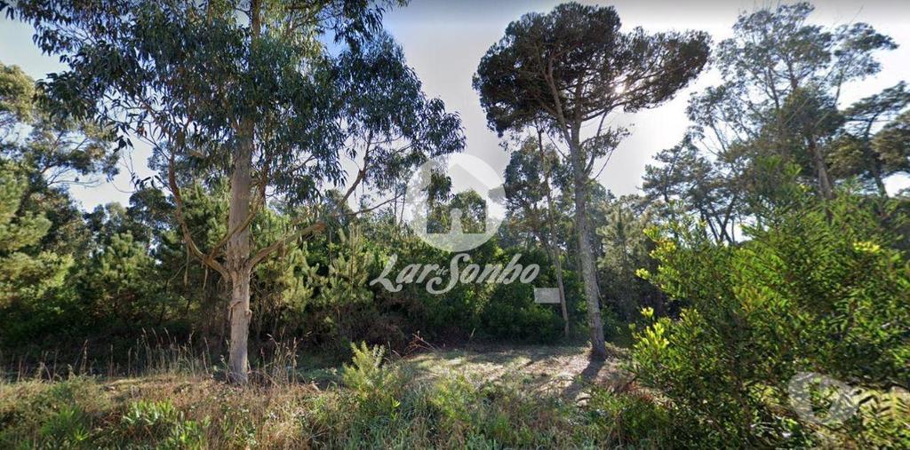 Terrenos Esposende - Fotos para Esposende-Terreno em Esposende (265-T-00959)