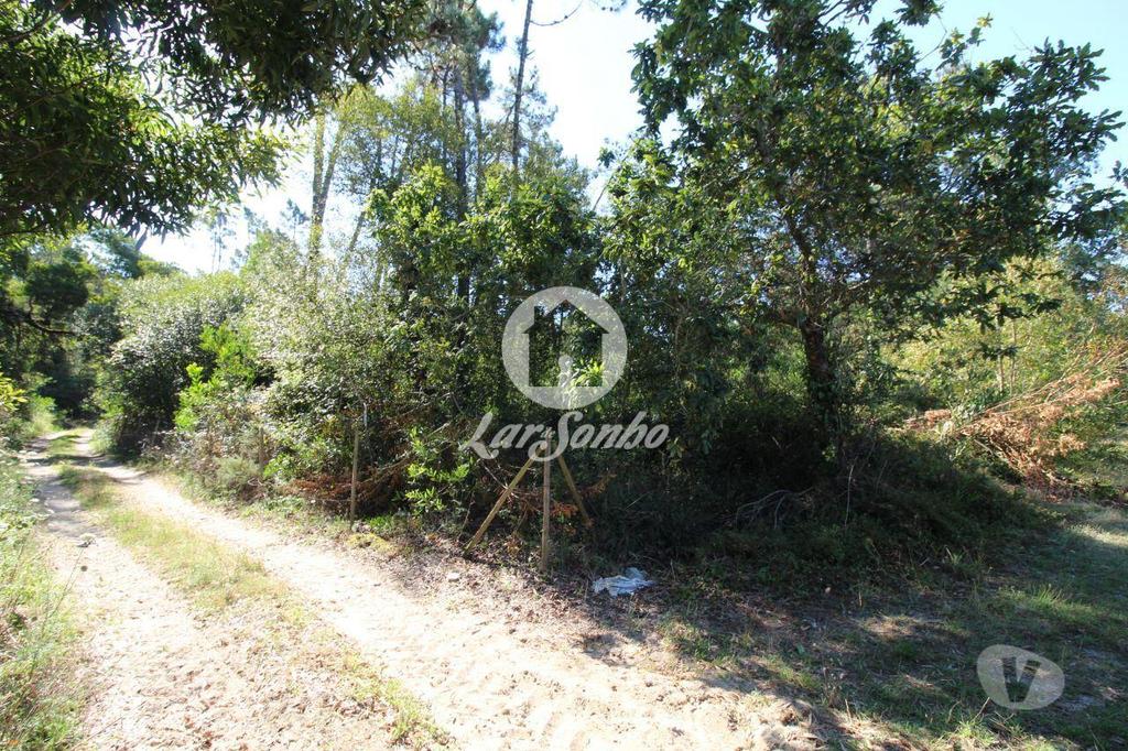 Terrenos Esposende - Fotos para Esposende-Terreno em Esposende (265-T-00959)