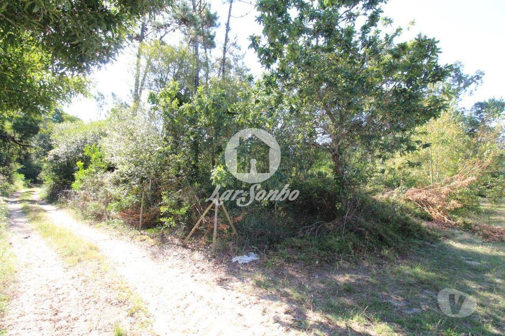 Terrenos Esposende - Fotos para Esposende-Terreno em Esposende (265-T-00959)