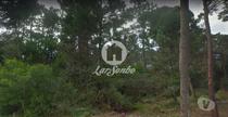 Esposende-Terreno em Esposende (265-T-00959)