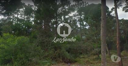 Terrenos a venda - Fotos para Esposende-Terreno em Esposende (265-T-00959)