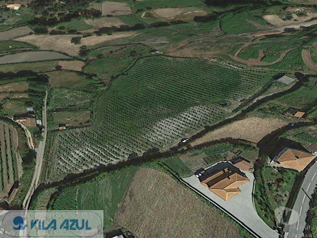 Terrenos Baião - Fotos para Baiao-Quinta Agrícola em Baião (12200006)