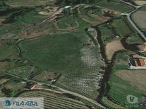 Baiao-Quinta Agrícola em Baião (12200006)