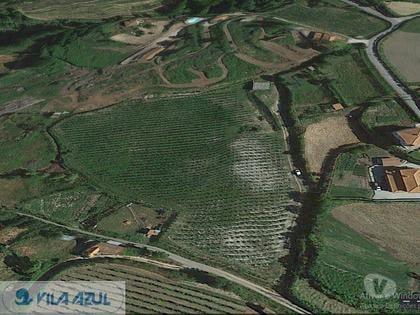 Terrenos e Quintas - Fotos para Baiao-Quinta Agrícola em Baião (12200006)