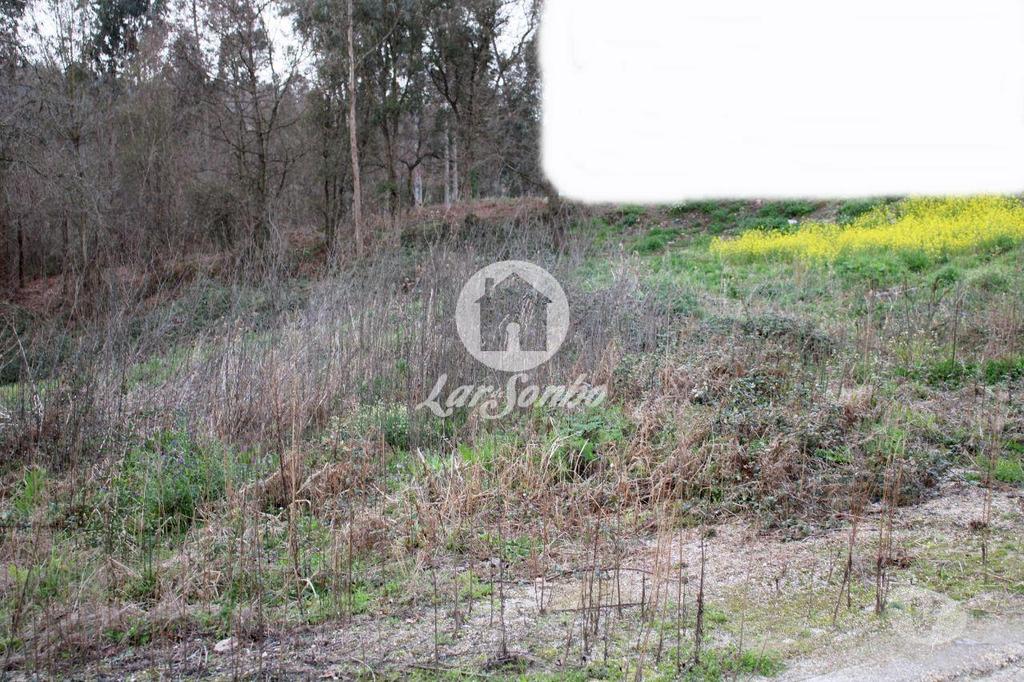 Terrenos Barcelos - Fotos para Barcelos-Loteamento para construção em Barcelos (265-T-00964)