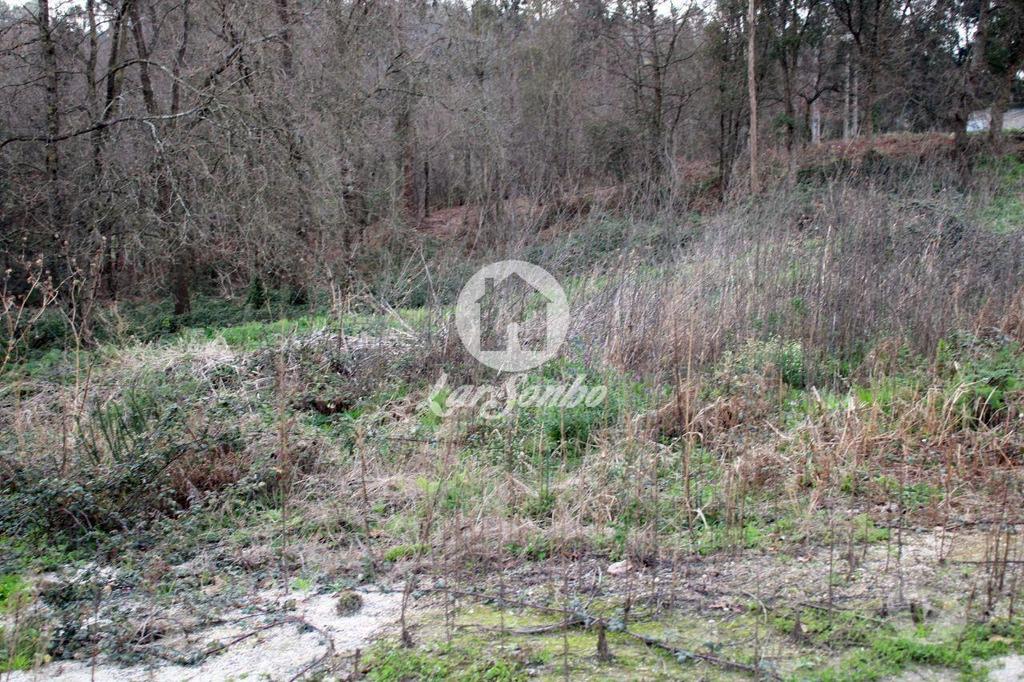 Terrenos Barcelos - Fotos para Barcelos-Loteamento para construção em Barcelos (265-T-00964)