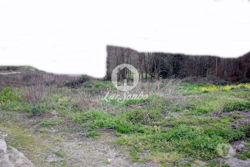 Terrenos Barcelos - Fotos para Barcelos-Loteamento para construção em Barcelos (265-T-00964)