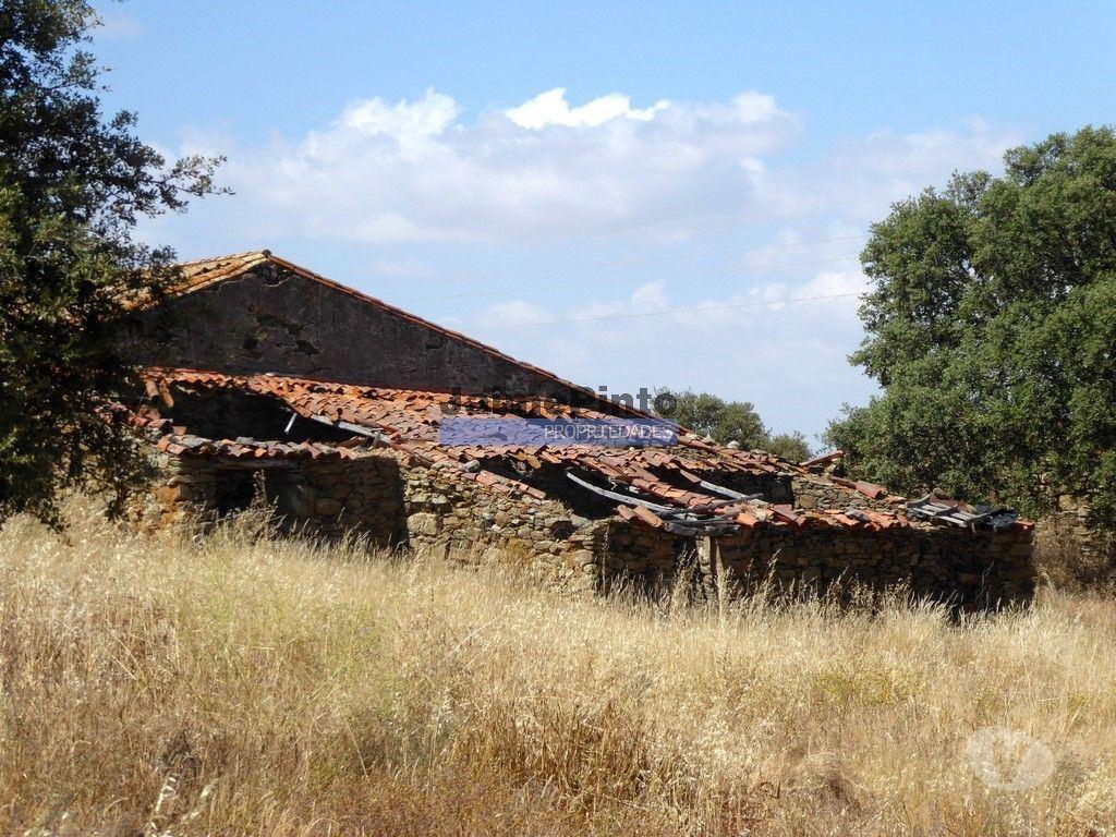 Terrenos Almodôvar - Fotos para 610.000m2 terra p plantações novas, pasto e gado. Portugal,