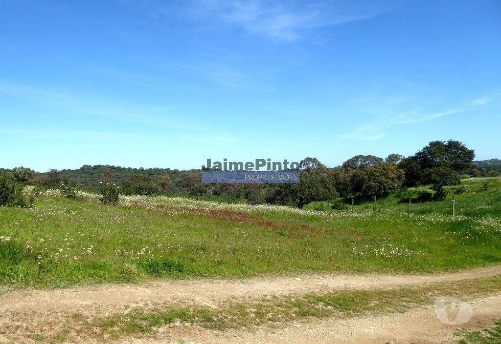 Terrenos Almodôvar - Fotos para 610.000m2 terra p plantações novas, pasto e gado. Portugal,