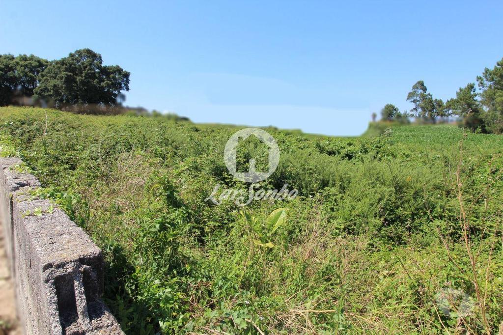 Terrenos Barcelos - Fotos para Barcelos-Terreno para construção (265-T-00966)