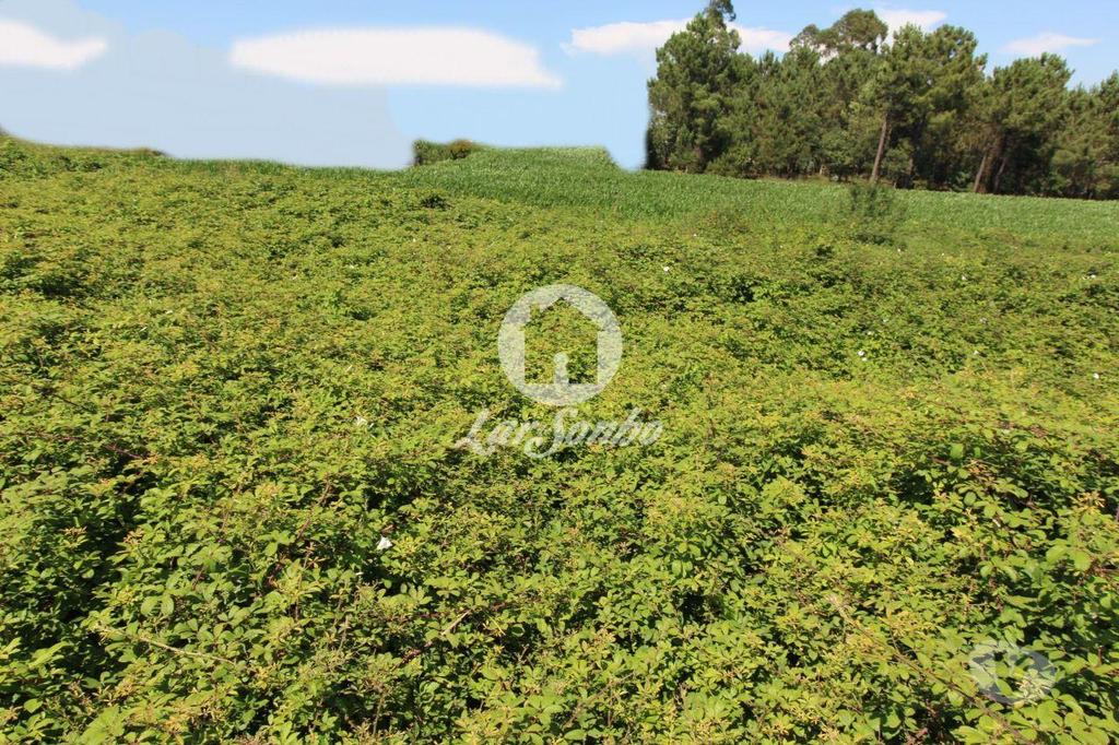 Terrenos Barcelos - Fotos para Barcelos-Terreno para construção (265-T-00966)