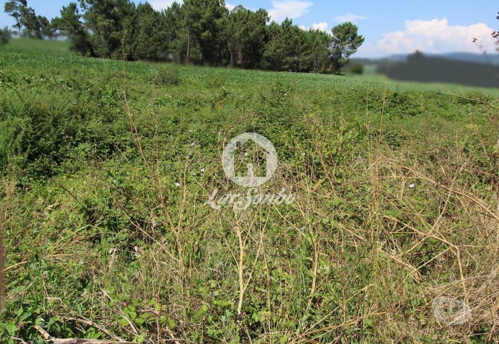 Terrenos Barcelos - Fotos para Barcelos-Terreno para construção (265-T-00966)