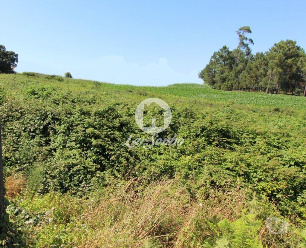 Terrenos Barcelos - Fotos para Barcelos-Terreno para construção (265-T-00966)