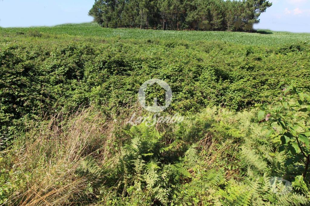 Terrenos Barcelos - Fotos para Barcelos-Terreno para construção (265-T-00966)