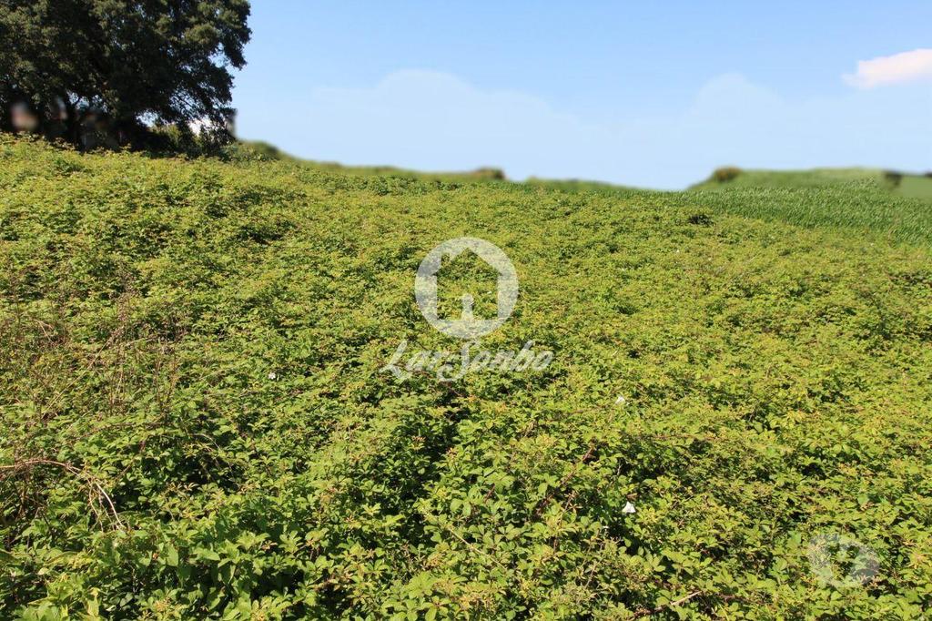 Terrenos Barcelos - Fotos para Barcelos-Terreno para construção (265-T-00966)