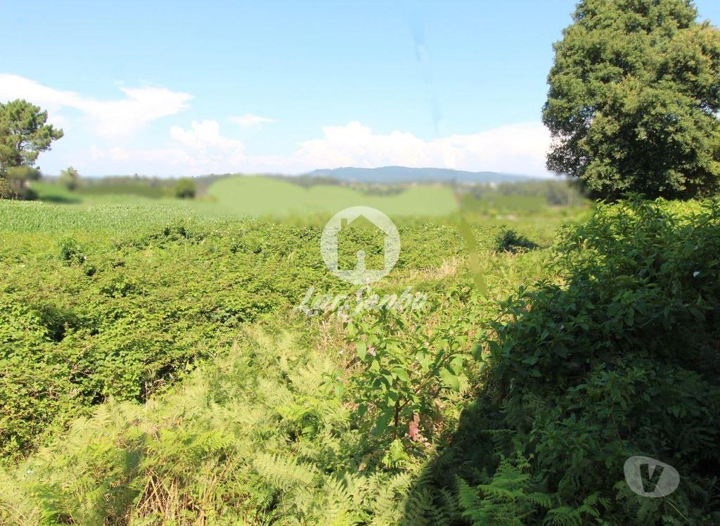 Terrenos Barcelos - Fotos para Barcelos-Terreno para construção (265-T-00966)