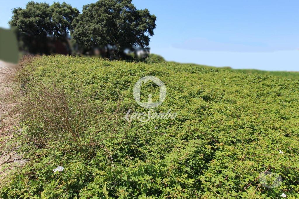 Terrenos Barcelos - Fotos para Barcelos-Terreno para construção (265-T-00966)