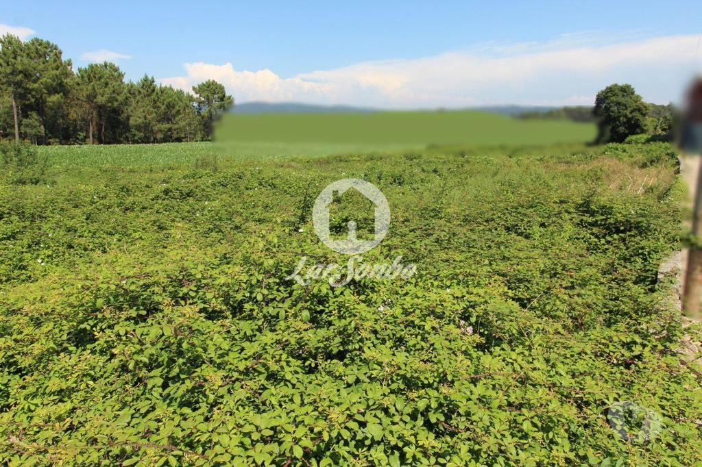 Terrenos Barcelos - Fotos para Barcelos-Terreno para construção (265-T-00966)