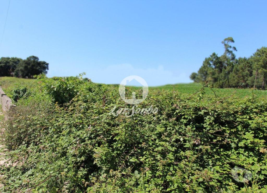 Terrenos Barcelos - Fotos para Barcelos-Terreno para construção (265-T-00966)