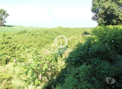 Terrenos - Fotos para Barcelos-Terreno para construção (265-T-00966)