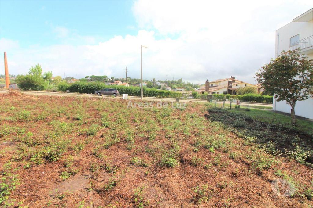 Terrenos Pombal - Fotos para Pombal-Lote de Terreno - Louriçal, Pombal (3401 22)