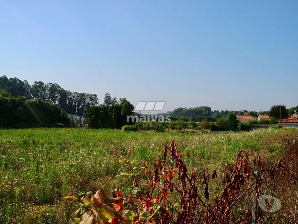 Terrenos Ponte de Lima - Fotos para Ponte-de-lima-Terreno com 11.200 m2 em Freixo (A008-0003)