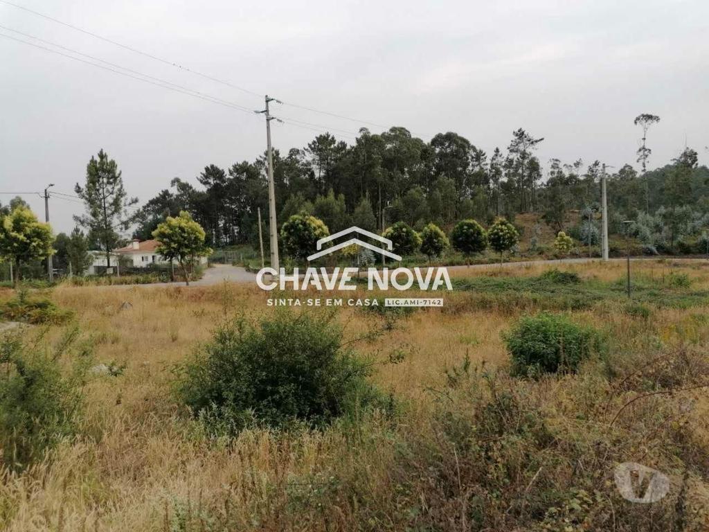 Terrenos Oliveira de Azeméis - Fotos para Terreno lotes p construção de Moradias em Fajões, Oliveira de