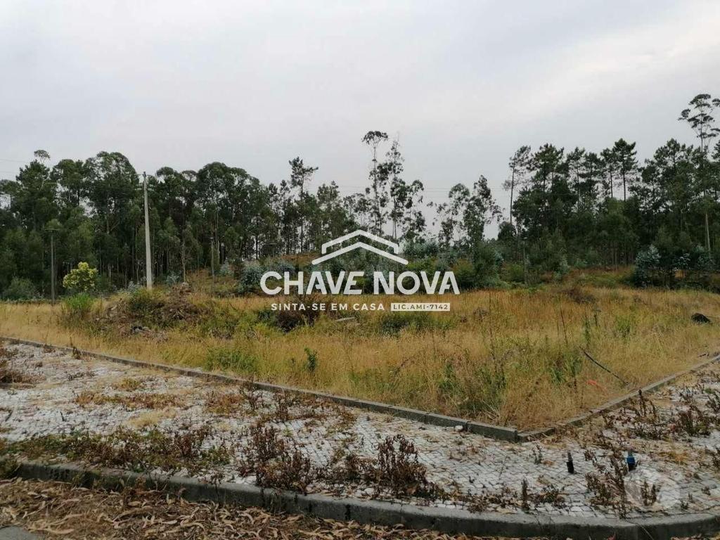 Terrenos Oliveira de Azeméis - Fotos para Terreno lotes p construção de Moradias em Fajões, Oliveira de