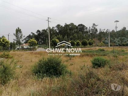 Terrenos a venda - Fotos para Terreno lotes p construção de Moradias em Fajões, Oliveira de